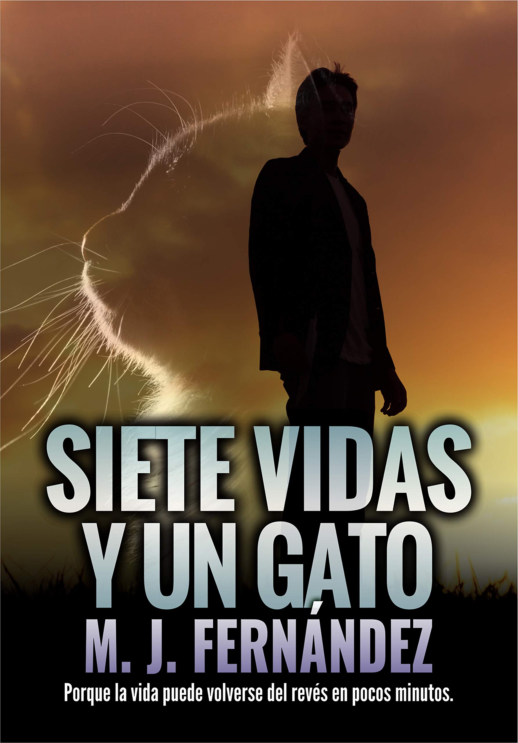 Siete vidas y un gato (Inspector Salazar 07)
