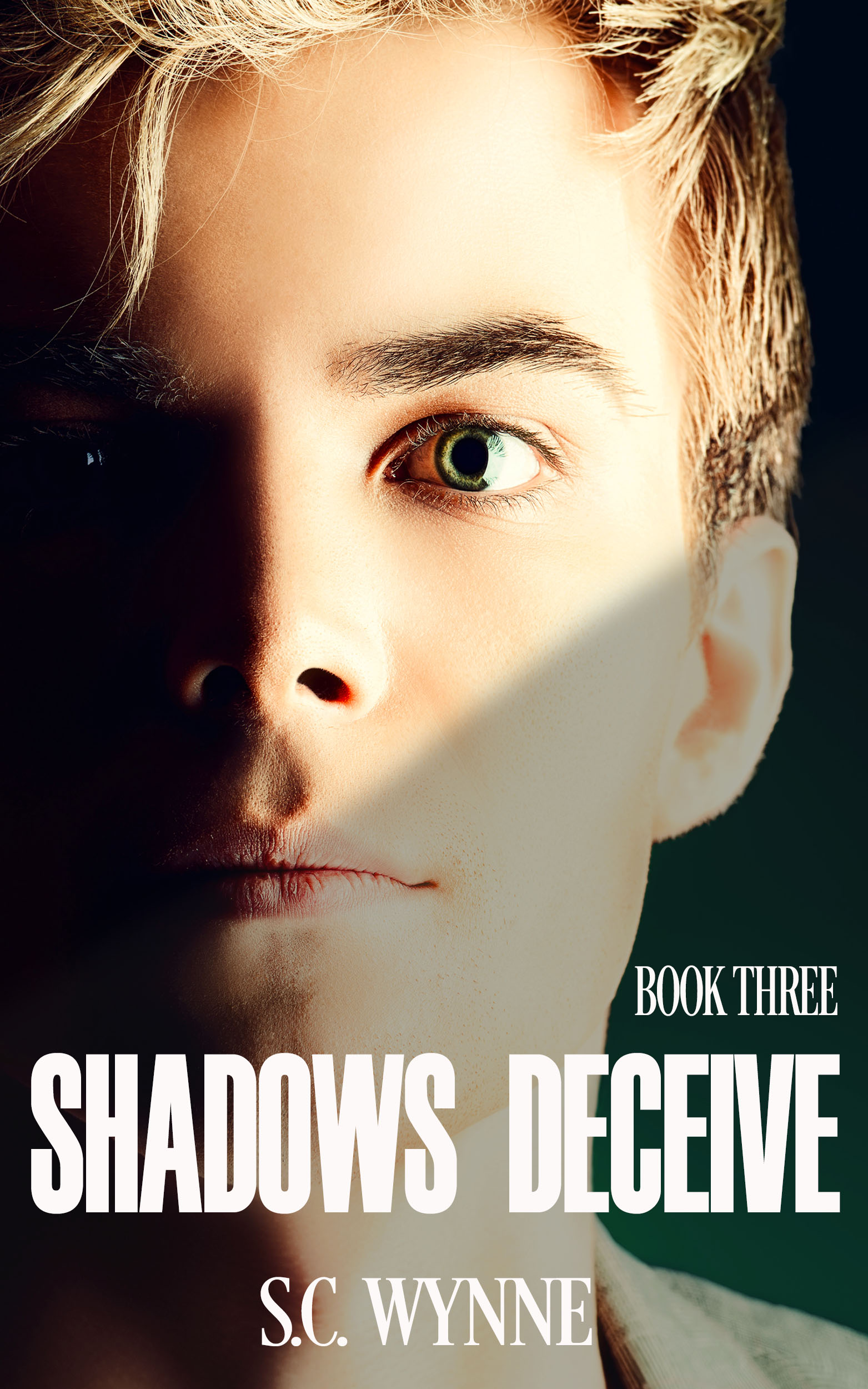 Shadows Deceive (Psychic Detective Mysteries #3)