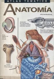 Atlas temático: Anatomía animal