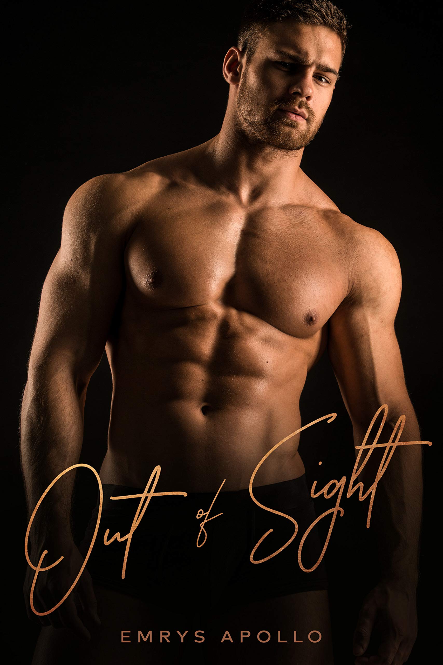 Out of Sight (Kindle Edition)