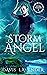 Storm Angel (Storm Riders #2)