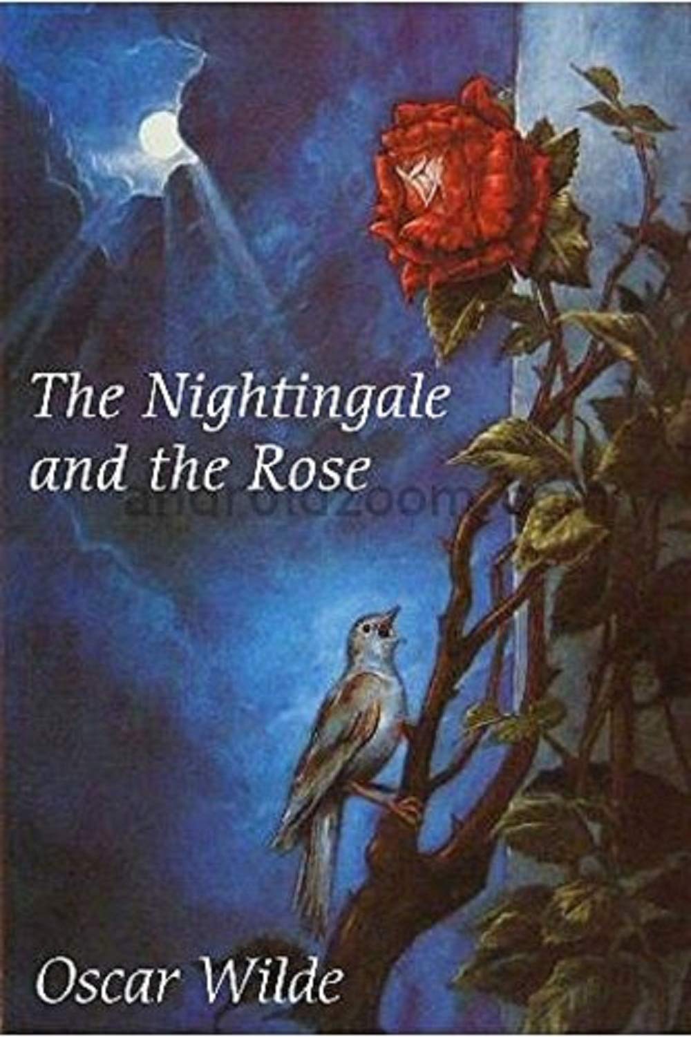 The Nightingale and the Rose Illustrated