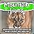 Mountain Lions by Bold Kids
