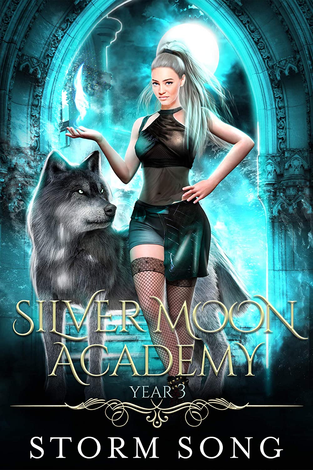 Silver Moon Academy: Year 3 (Silver Moon Academy, #3)