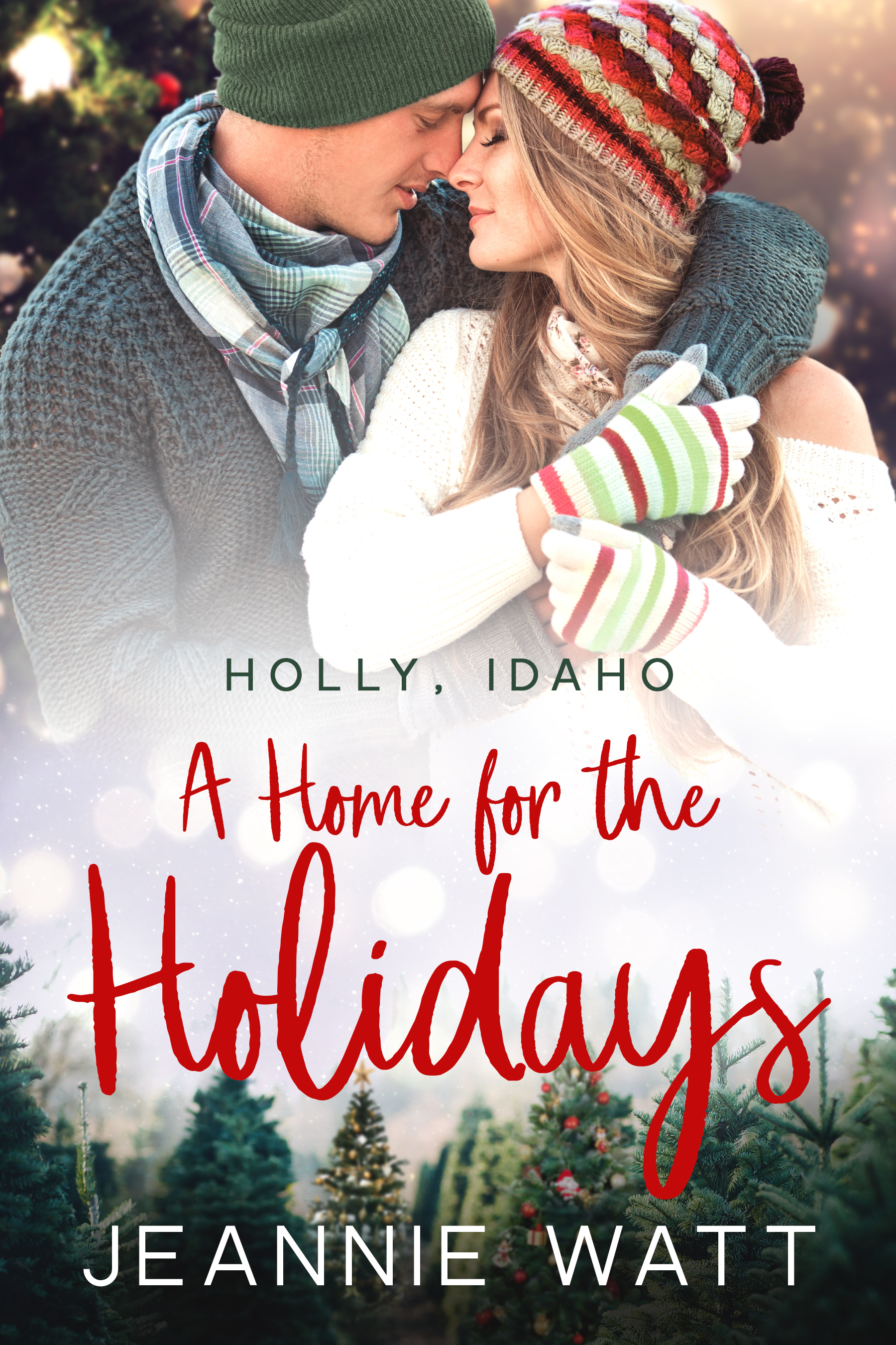 A Home for the Holidays (Holly, Idaho, #1)