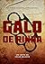 Galo de Rinha by César Augusto