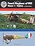 French Warplanes of WWI Vol...