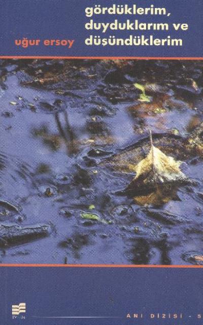 Gördüklerim, Duyduklarım ve Düşündüklerim (Paperback)