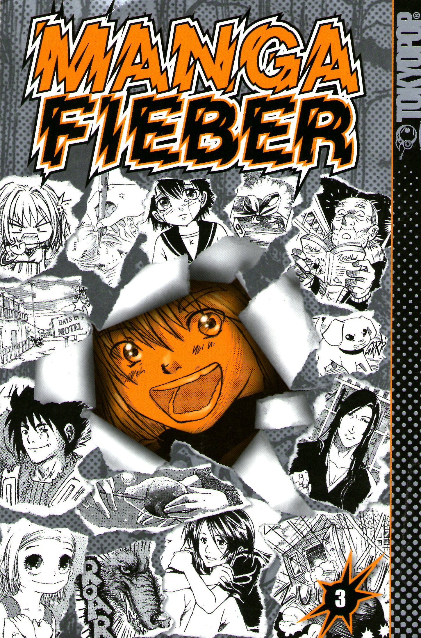 Manga Fieber, Band 3