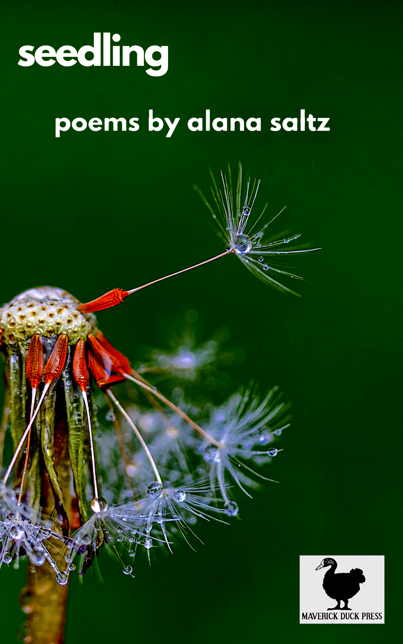 Seedling (ebook)