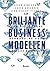 Briljante Businessmodellen: Een bijzondere benadering voor betere business