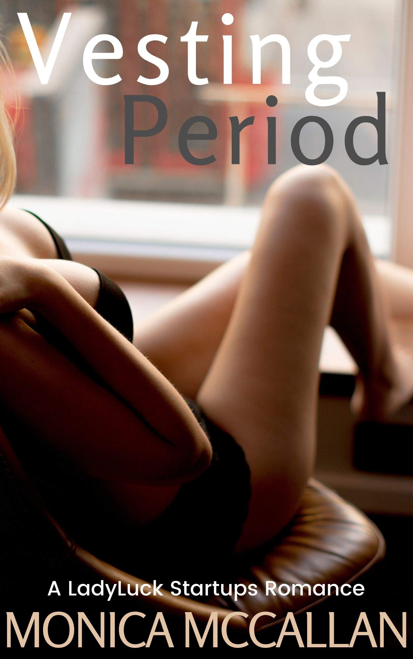 Vesting Period (LadyLuck Startups, #2)