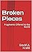 Broken Pieces by David A. Kralik