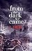 From the Dark We Came