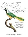 What Is a Bird?: ...