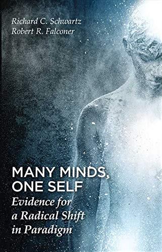 Many Minds, One Self: Evidence for a Radical Shift in Paradigm (Paperback)