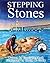 Stepping Stones: Walking La...