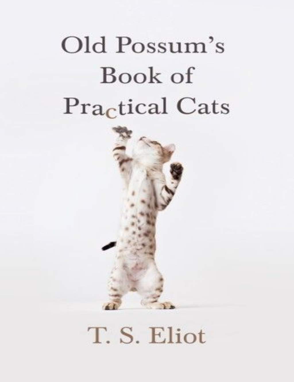 Old Possum's Book of Practical Cats: T. S. Eliot: Pages-19