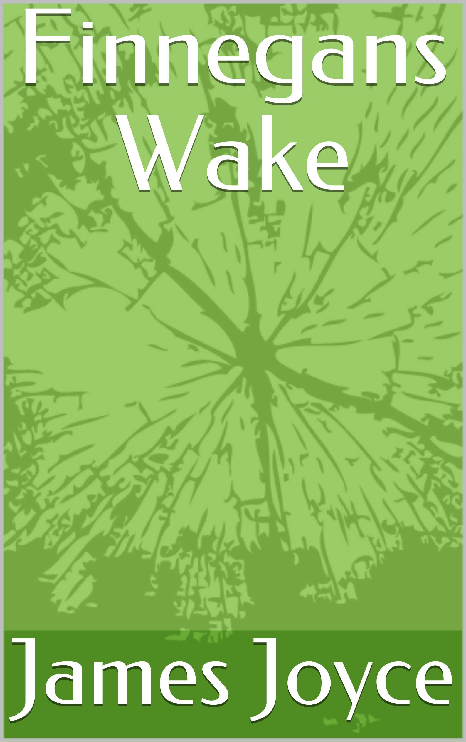 Finnegans Wake