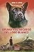 Bruma y el regreso del lobo blanco by Ariel O. López