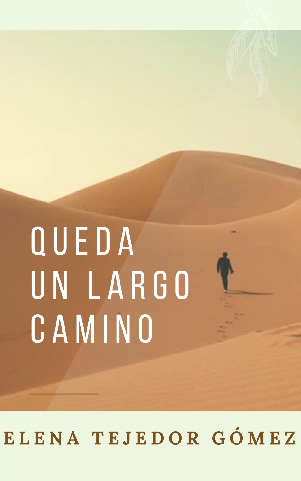 Queda un largo camino