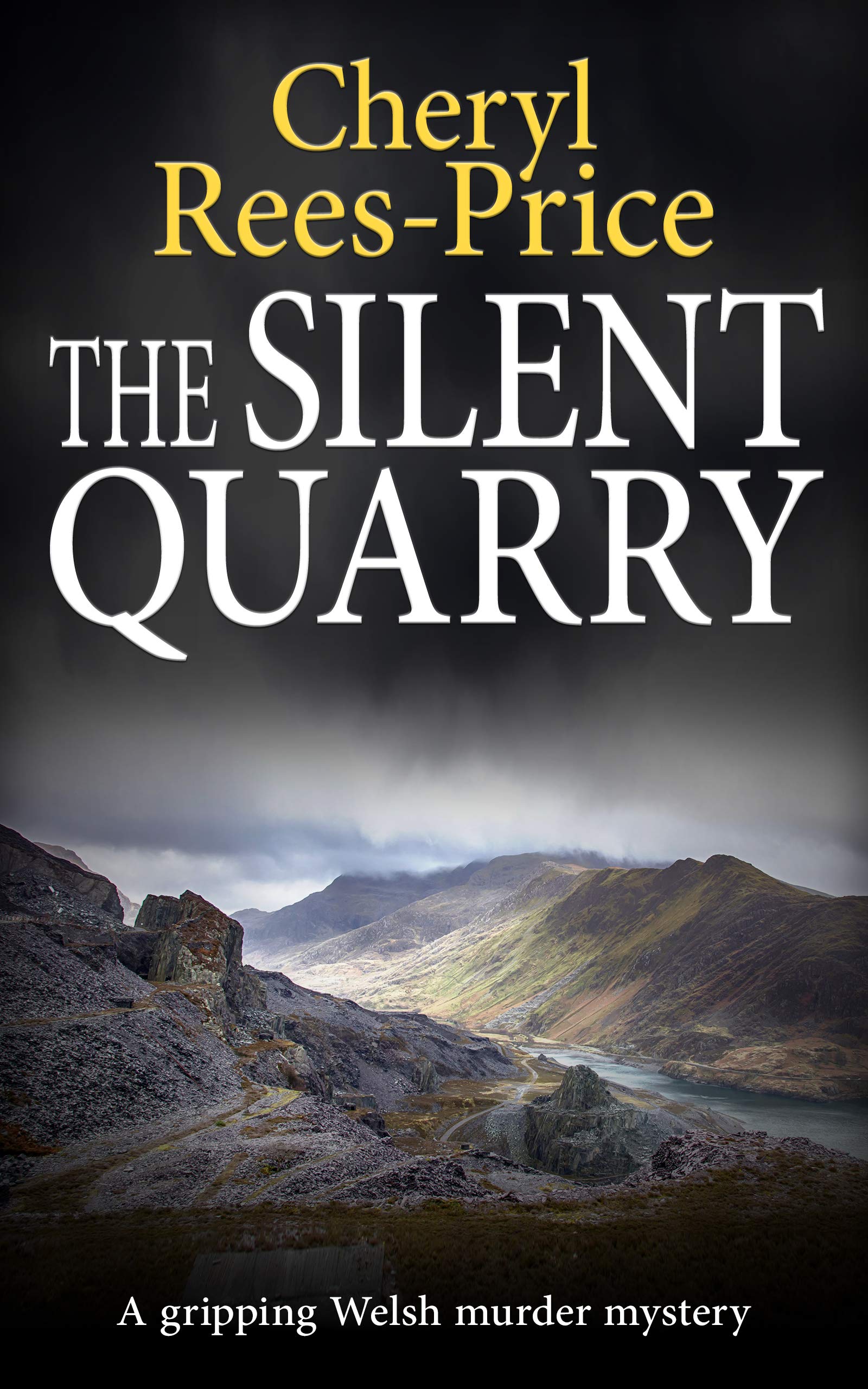 The Silent Quarry (DI Winter Meadows, #1)