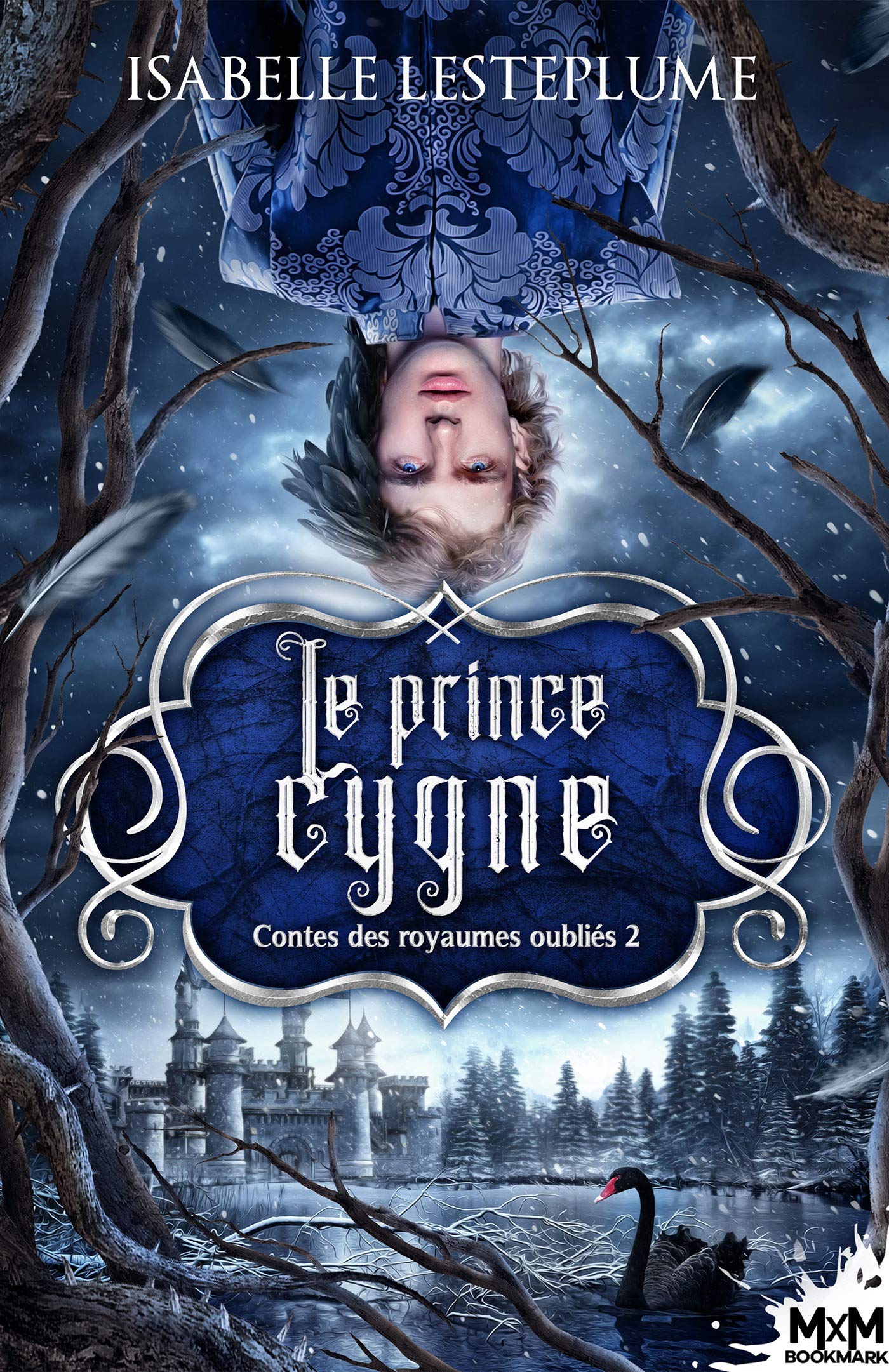 Le prince cygne (Contes des royaumes oubliés, #2)