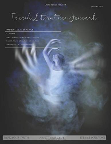 Torrid Literature Journal (Vol. XXV): Vol. XXV Synergy