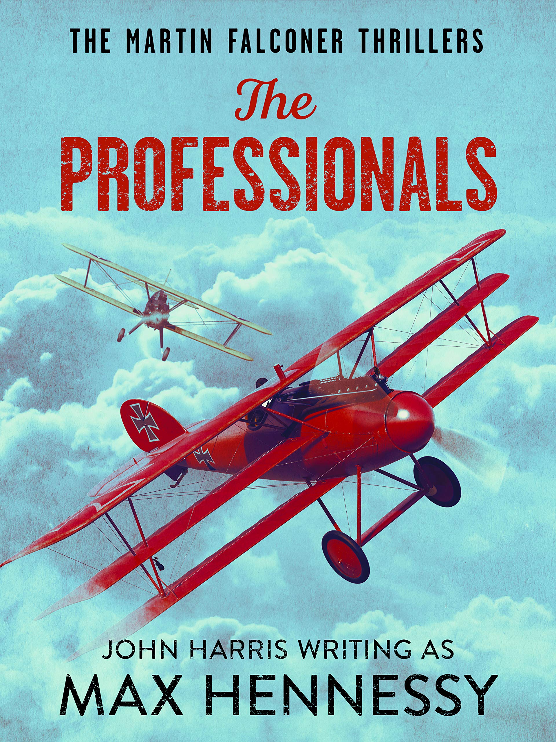 The Professionals (The Martin Falconer Thrillers Book 2)