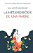 La metamorfosis de una madre by Mgtr Ana Amparo Acosta Rodr...