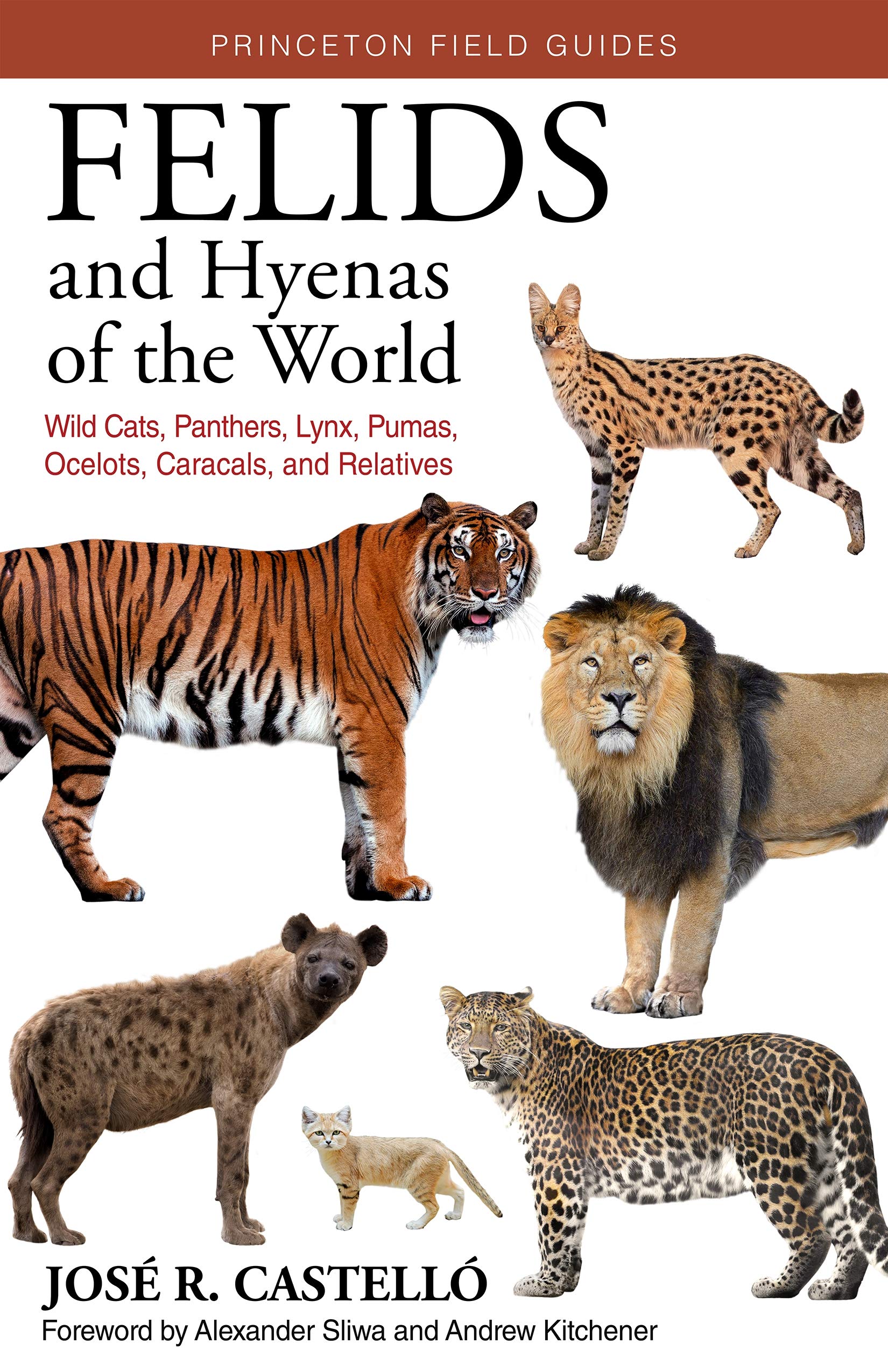 Felids and Hyenas of the World: Wildcats, Panthers, Lynx, Pumas, Ocelots, Caracals, and Relatives (Kindle Edition)