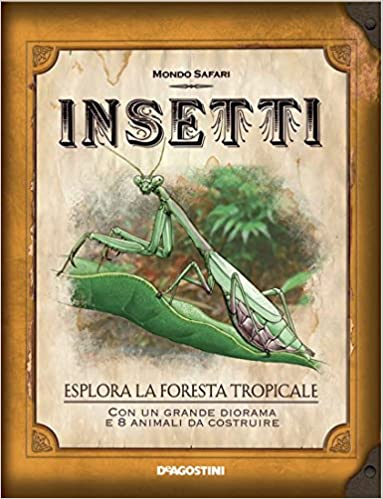 Insetti. Esplora la Foresta tropicale (Hardcover)