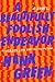 A Beautifully Foolish Endeavor by Hank Green