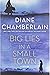 Big Lies in a Small Town by Diane Chamberlain