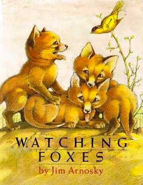 Watching Foxes (Hardcover)