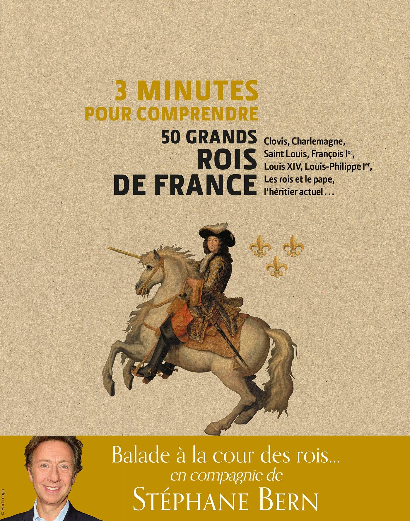 3 minutes pour comprendre 50 grands rois de france: Clovis, Charlemagne, Saint Louis, François Ier, Louis XIV, Louis-Philippe Ier, Les rois et le pape (Kindle Edition)