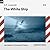 The White Ship
