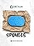 Sponges