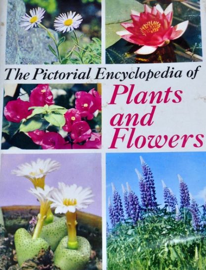 The Pictorial Encyclopedia of Plants and Flowers (Hardcover)