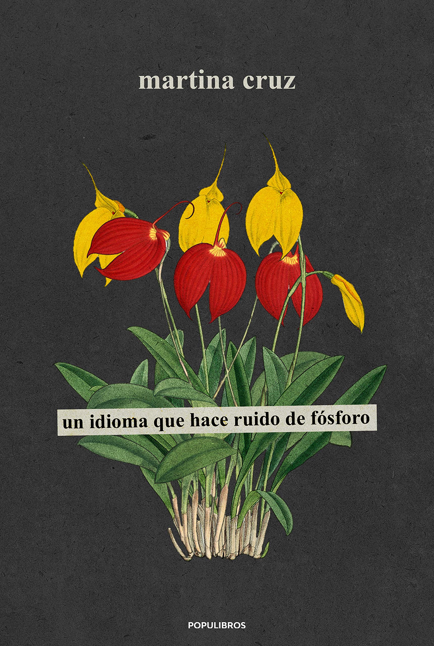 Portada de Un idioma que hace ruido de fósforo, de Martina Cruz