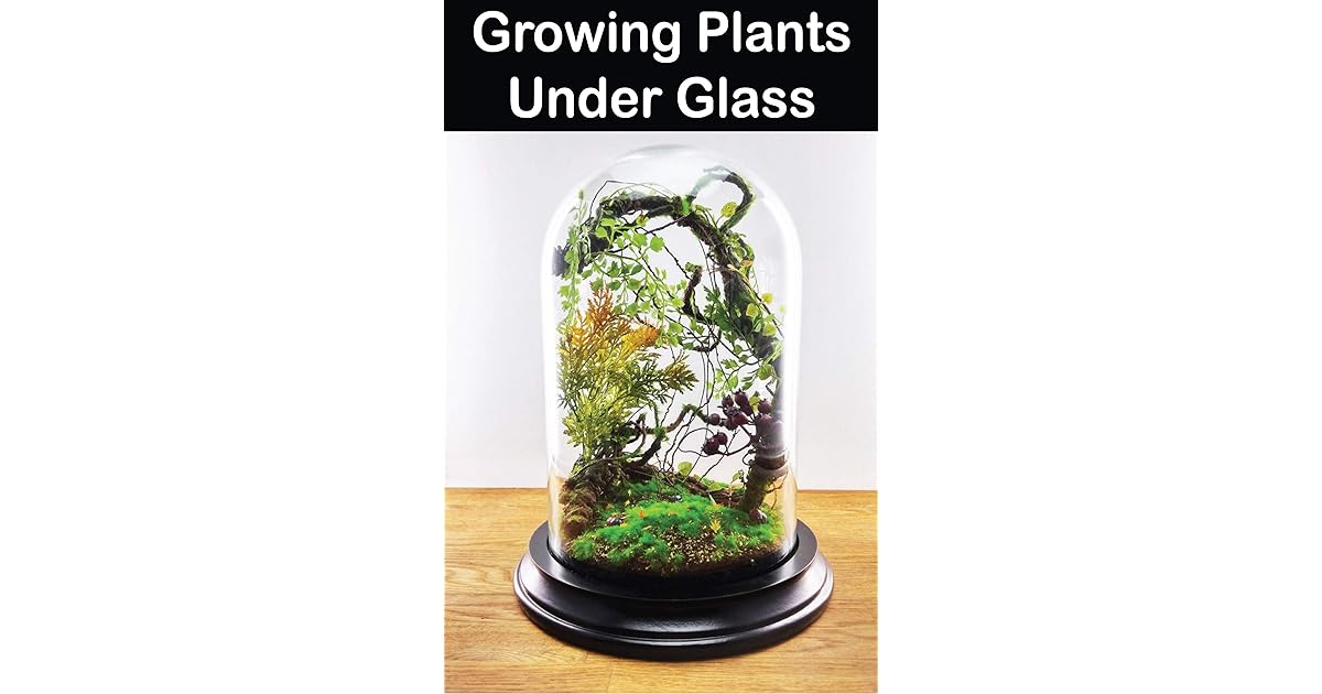 Growing Plants Under Glass Choosing A Greenhouse To Growing Plants by
