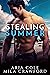 Stealing Summer