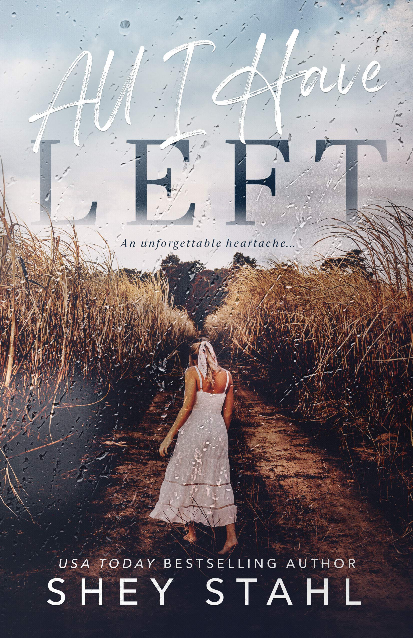 All I Have Left (Kindle Edition)