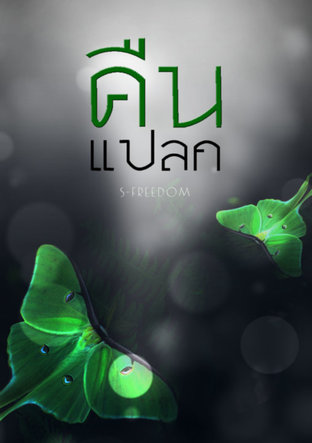 คืนแปลก (ebook)