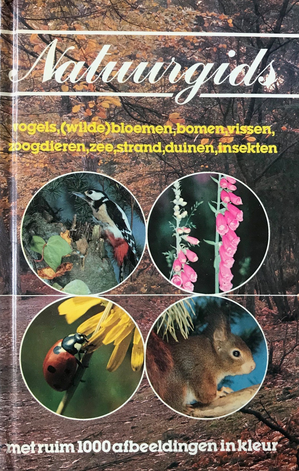 Natuurgids : vogels, (wilde) bloemen, bomen, vissen, zoogdieren, zee, strand, duinen, insekten