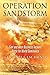 Operation Sandstorm by Gordon Rayner