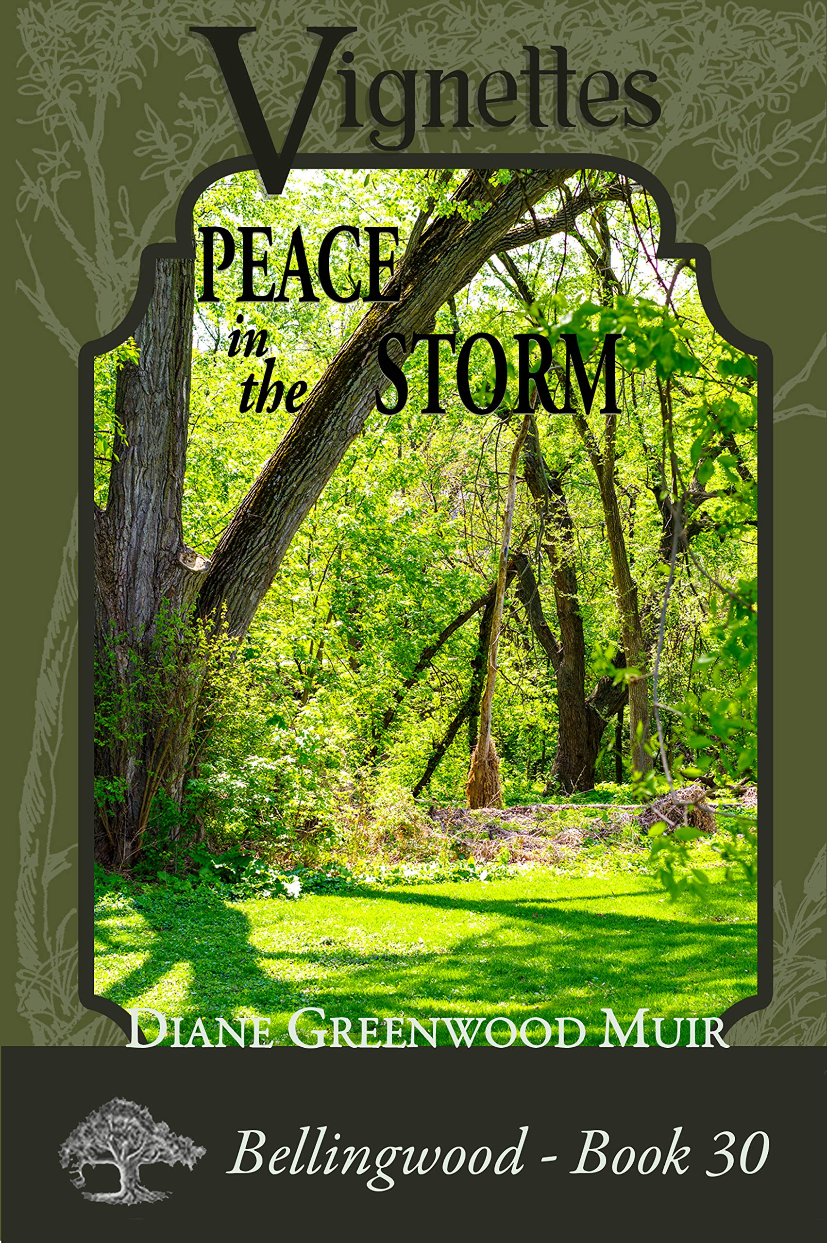 Bellingwood Book 30 Vignettes (Bellingwood Vignettes)