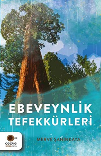 Ebeveynlik Tefekkürleri (Paperback)