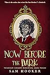 Book cover for Now Before the Dark (Terribly Serious Darkness Book 3)