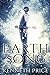Earth Song by Kenneth Price